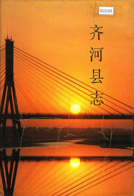 《齐河县志》.pdf_山东省志缩略图
