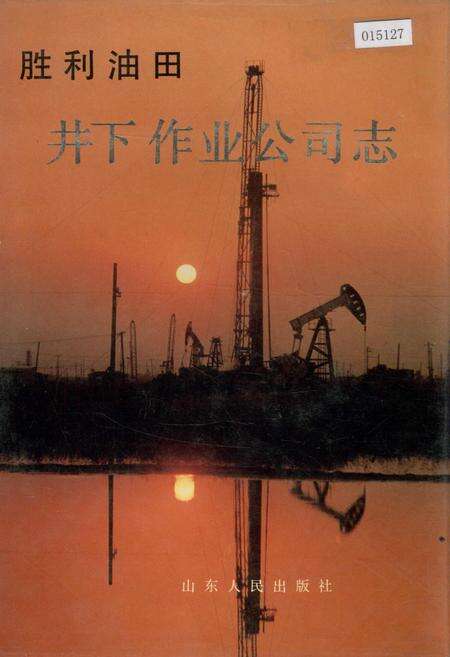 《胜利油田 井下作业公司志》.pdf_山东省志缩略图