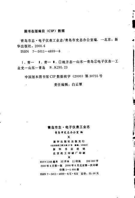 《青岛市志 电子仪表工业志》.pdf_山东省志预览图2