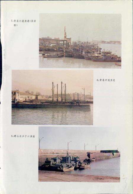 《青岛市水产志》.pdf_山东省志预览图5