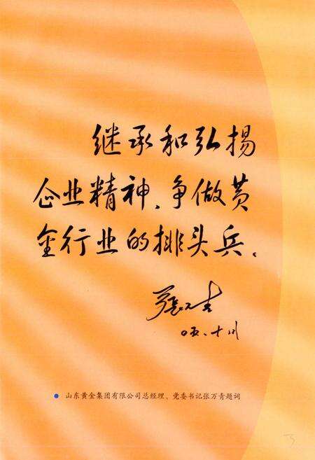 《新城金矿志》.pdf_山东省志预览图5