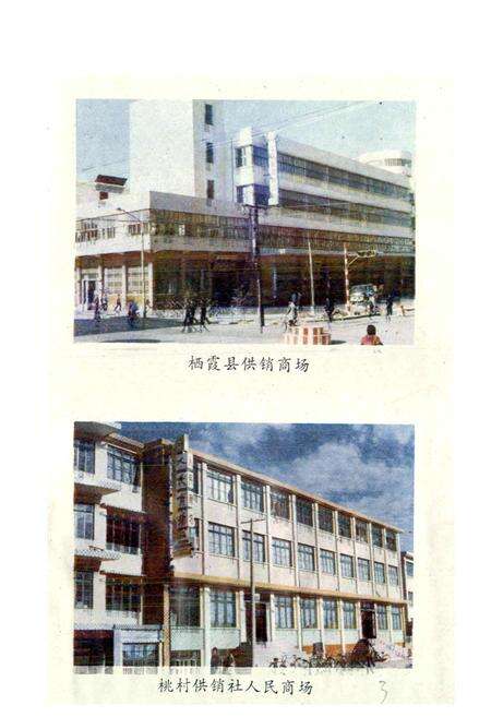 《栖霞县供销合作志》.pdf_山东省志预览图4