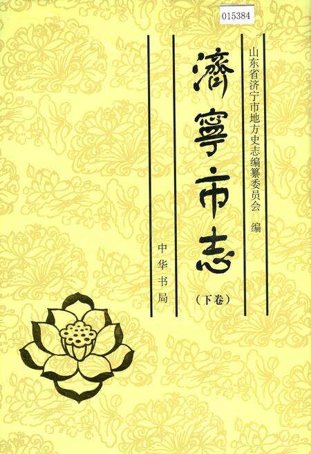 《济宁市志 （下卷）》.pdf_山东省志缩略图