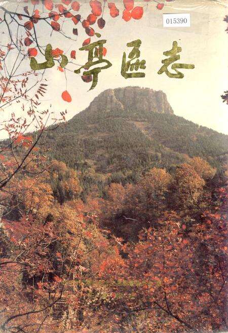 《山亭区志》.pdf_山东省志缩略图