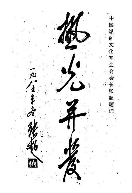 《山家林煤矿志》.pdf_山东省志预览图2