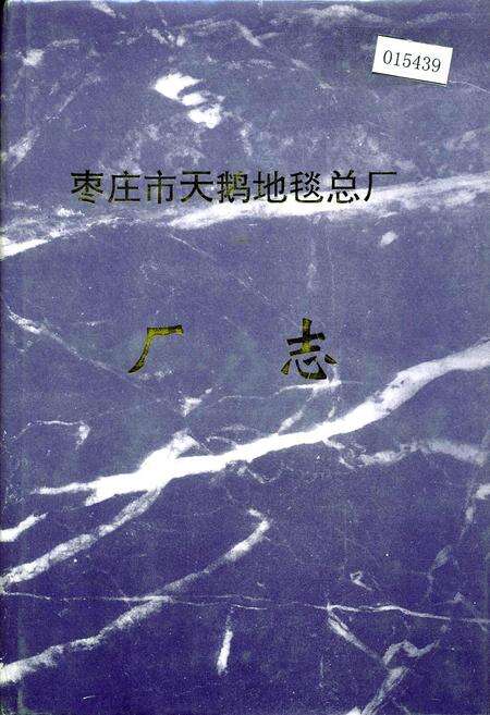 《枣庄市天鹅地毯总厂厂志》.pdf_山东省志缩略图