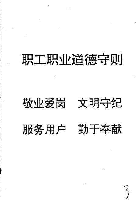 《枣庄市天鹅地毯总厂厂志》.pdf_山东省志预览图4