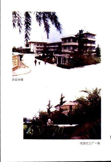 《枣庄市天鹅地毯总厂厂志》.pdf_山东省志预览图5