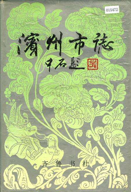 《滨州市志》.pdf_山东省志缩略图