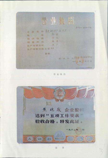 《莱钢焦化厂志》.pdf_山东省志预览图4