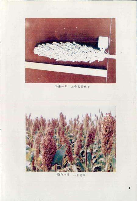 《山东省惠民地区农业志》.pdf_山东省志预览图5