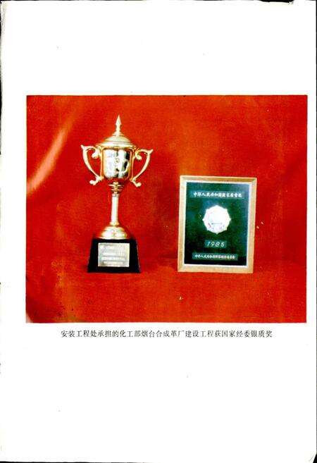 《莱钢安装工程处处志 全一卷》.pdf_山东省志预览图4