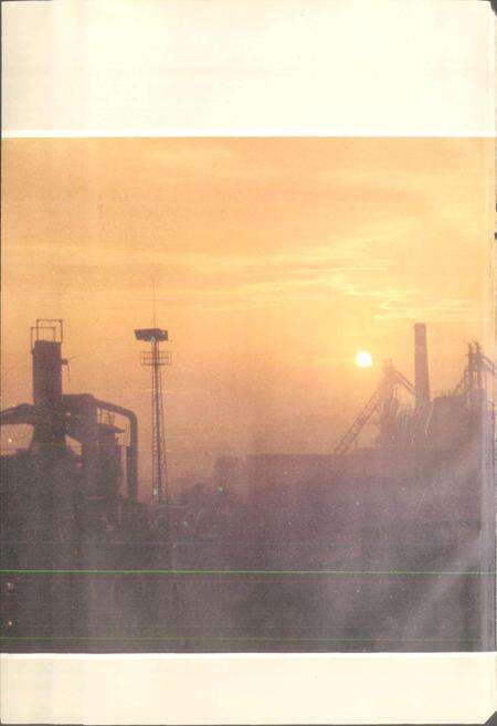 《莱钢第一铁厂志 全一卷》.pdf_山东省志预览图3