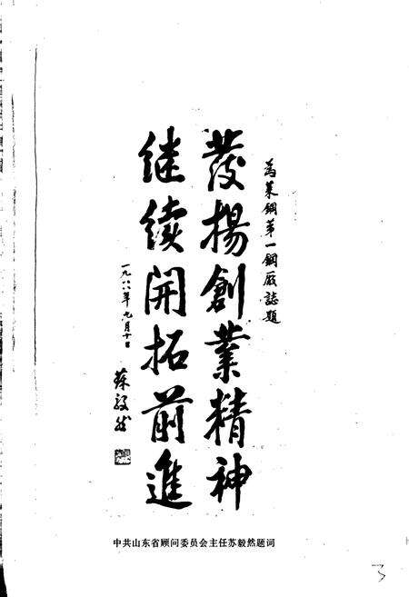 《莱钢第一钢厂志》.pdf_山东省志预览图3