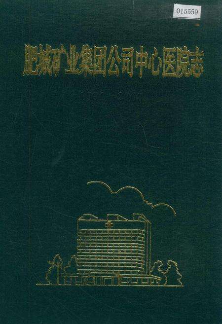 《肥城矿业集团公司中心医院志》.pdf_山东省志缩略图
