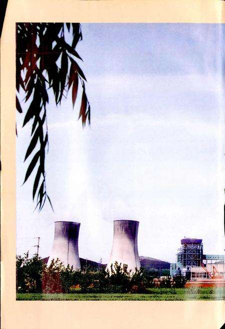 《山东石横发电厂厂志》.pdf_山东省志预览图2