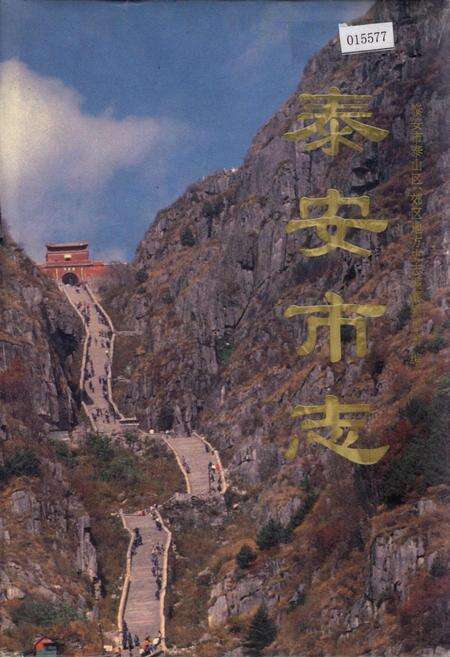 《泰安市志》.pdf_山东省志缩略图
