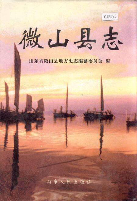 《微山县志》.pdf_山东省志缩略图