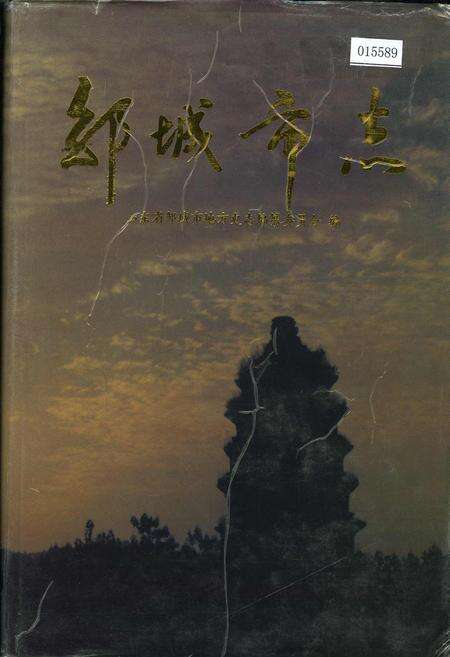 《邹城市志》.pdf_山东省志缩略图