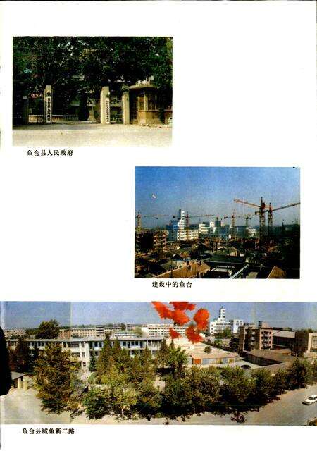 《鱼台县地名志》.pdf_山东省志预览图3