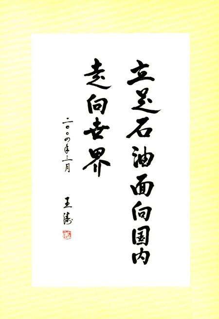 《中国石油天然气第七建设公司志第二卷(1994-2004)》.pdf_山东省志预览图4