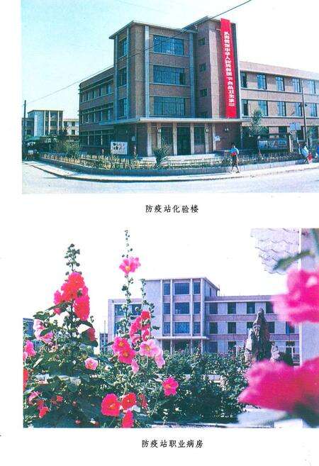 《胜利油田卫生防疫站志》.pdf_山东省志预览图5
