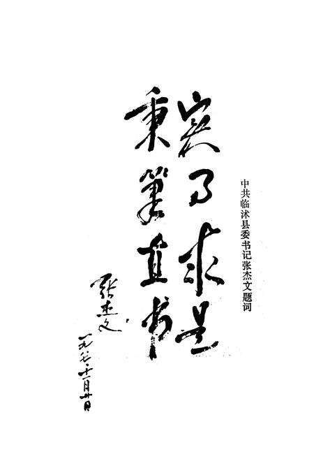 《临沐县电业志(1952-1986)》.pdf_山东省志预览图3