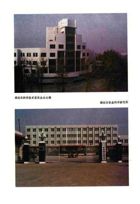 《潍坊市科学技术志》.pdf_山东省志预览图3