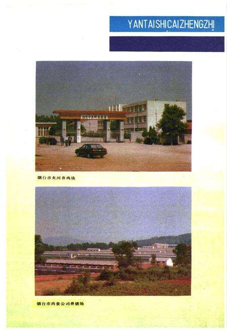 《《烟台市财政志(1840-1985)》》.pdf_山东省志预览图4