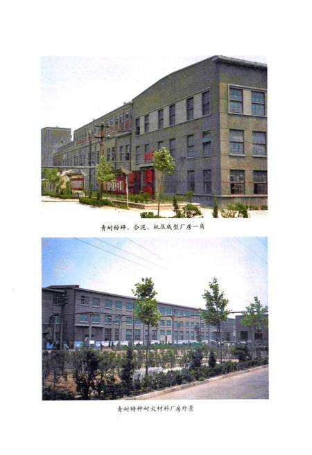 《青岛耐火材料厂志(全一卷)》.pdf_山东省志预览图3