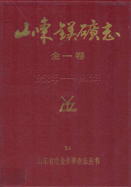 《山东镁矿志(全一卷)1958-1985》.pdf_山东省志缩略图