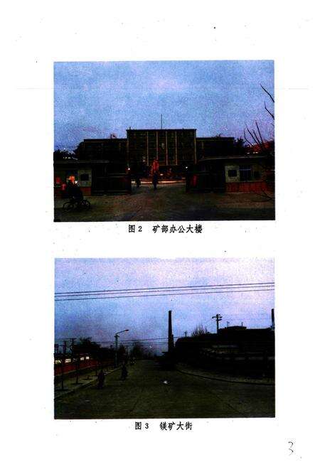 《山东镁矿志(全一卷)1958-1985》.pdf_山东省志预览图4