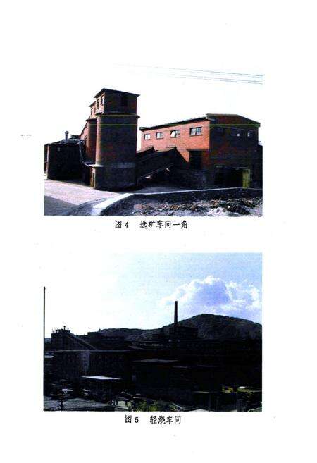 《山东镁矿志(全一卷)1958-1985》.pdf_山东省志预览图5