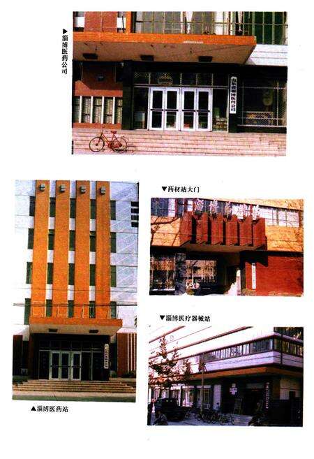 《淄博市医药志》.pdf_山东省志预览图5