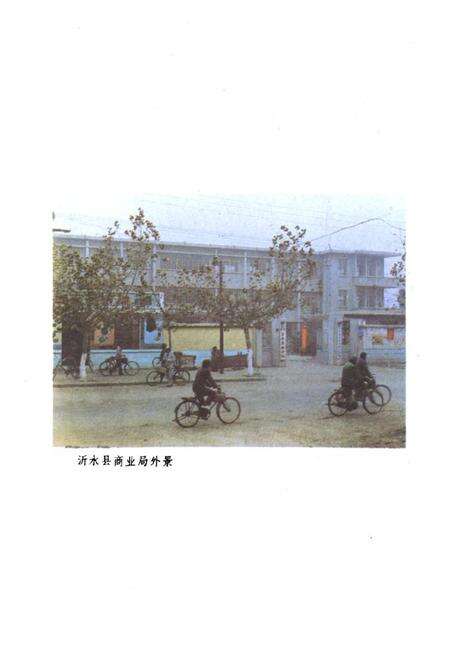 《沂水县商业志(1809-1989)》.pdf_山东省志预览图5