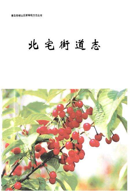 《北宅街道志》.pdf_山东省志预览图1