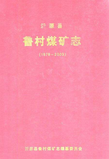 《沂源县鲁村煤矿志(1978-2003)》.pdf_山东省志缩略图