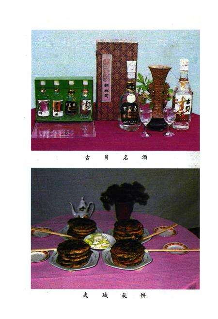 《武城县志简编》.pdf_山东省志预览图4