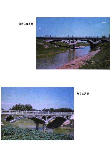 《临清市水利志》.pdf_山东省志预览图5