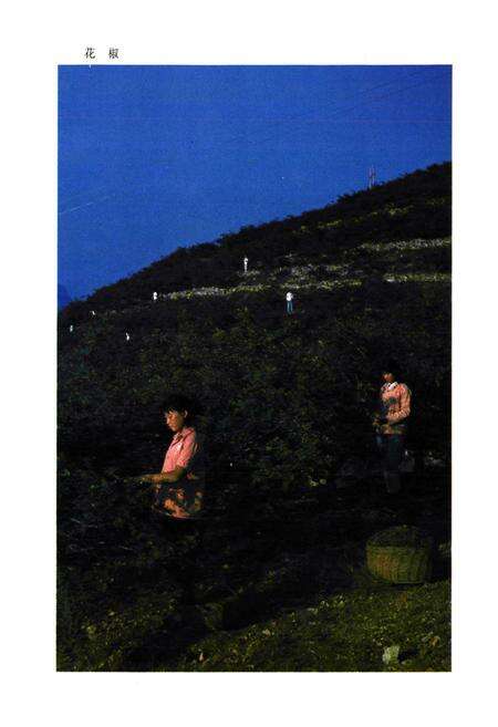 《沂源县农业区划》.pdf_山东省志预览图3