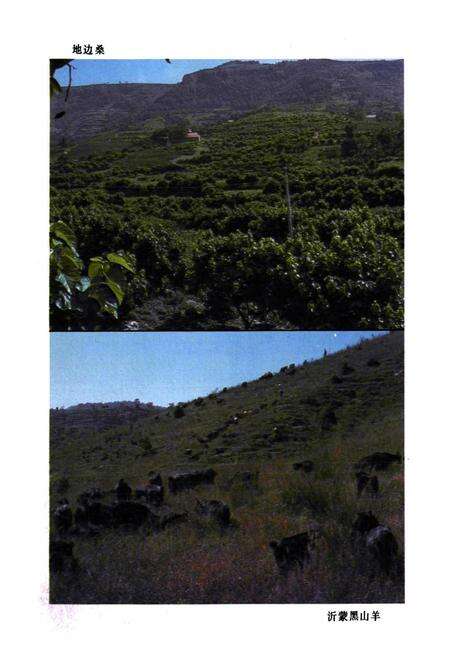 《沂源县农业区划》.pdf_山东省志预览图4