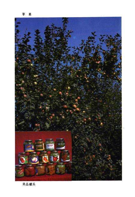 《沂源县农业区划》.pdf_山东省志预览图5