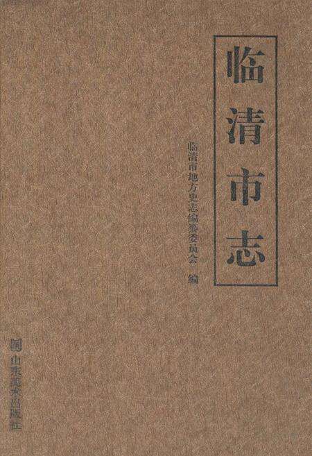 《临清市志》.pdf_山东省志缩略图