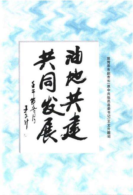 《临邑县油区工作办公室志》.pdf_山东省志预览图5