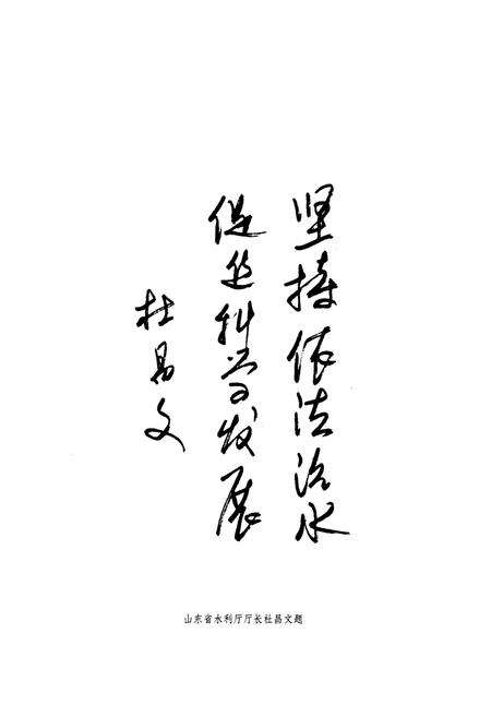 《济南市水利志(1986~2005)》.pdf_山东省志预览图5