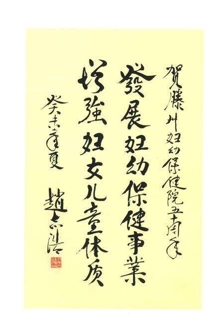 《滕州市妇幼保健院院志(1953-2003)》.pdf_山东省志预览图4