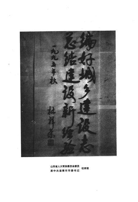 《山东省淄博市城乡建设志》.pdf_山东省志预览图3