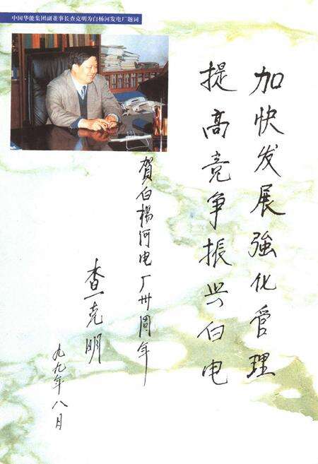 《山东白杨河发电厂志(1969-1999)》.pdf_山东省志预览图2