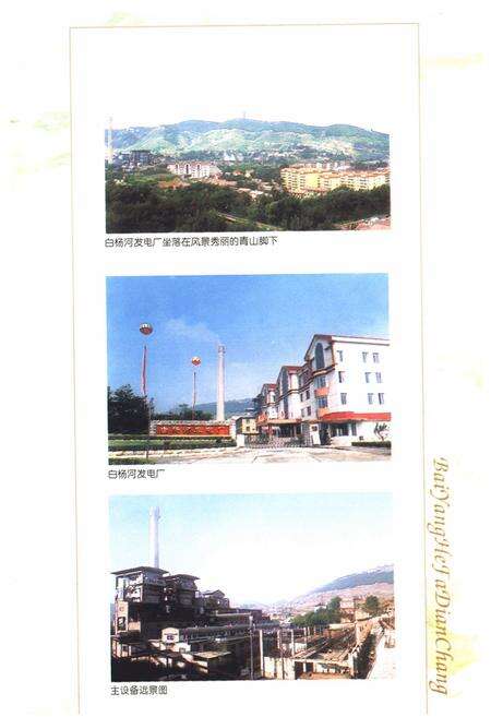 《山东白杨河发电厂志(1969-1999)》.pdf_山东省志预览图3