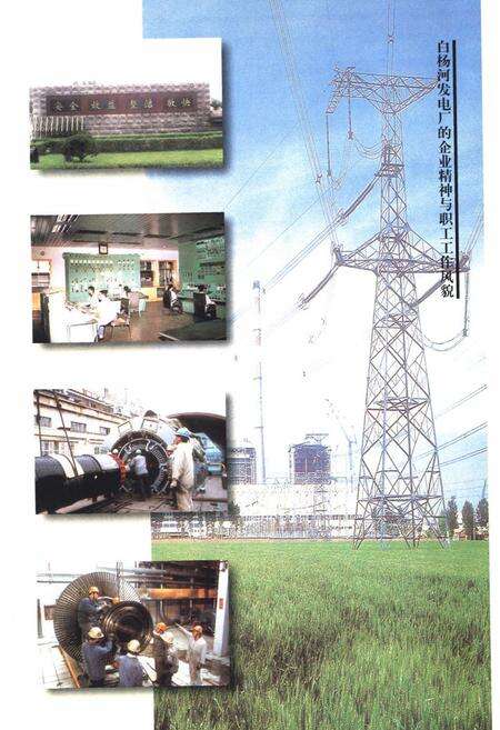 《山东白杨河发电厂志(1969-1999)》.pdf_山东省志预览图5